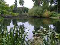 Thought Field Therapy brengt rust in de vijver Thought Field Therapy brengt rust in de vijver